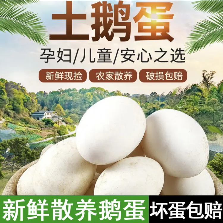 东北农家散养新鲜现捡土鹅蛋单个重120 - 160g左右