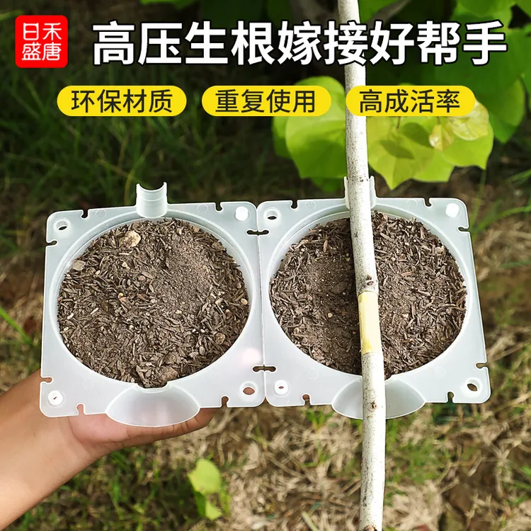 嫁接高压包空枝盒子扦插塑料植物树木高压生根繁殖器球扦插盆景