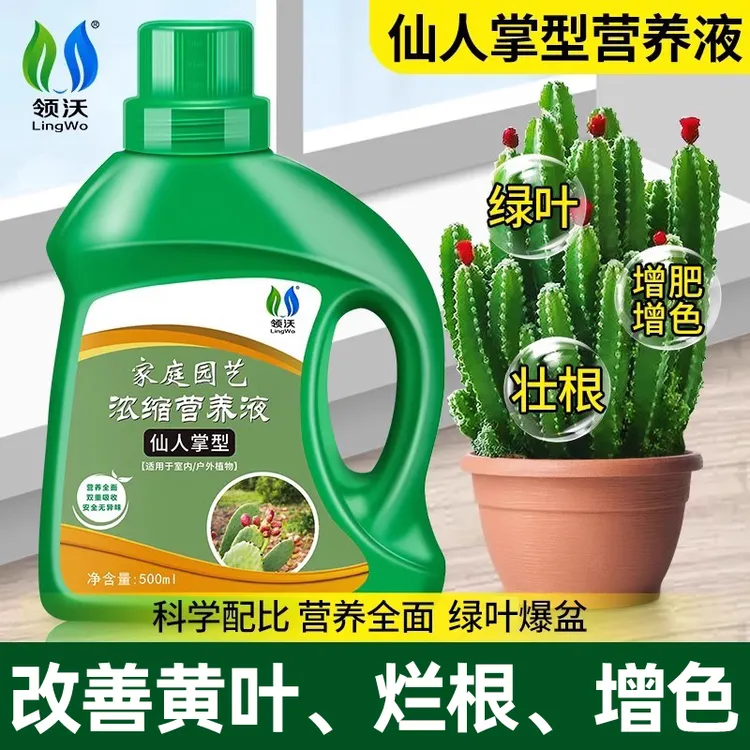仙人掌营养液肥料专用肥仙人球柱量天尺多浆植物盆栽通用型液体肥