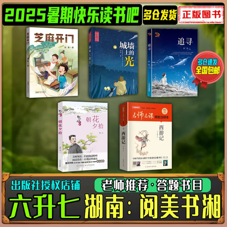 2025暑期湖南阅美书湘六升七快乐读书吧芝麻开门城墙上的光追寻