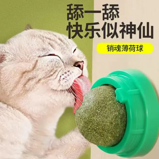 猫薄荷球猫玩具磨牙洁齿耐咬解闷神器幼猫小猫猫咪自嗨星速猫粮