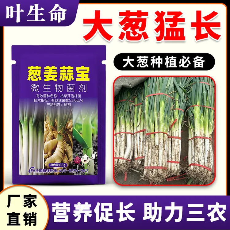 大葱猛长大葱专用肥防干尖软腐加快生长白粉锈大葱微生物专用肥料
