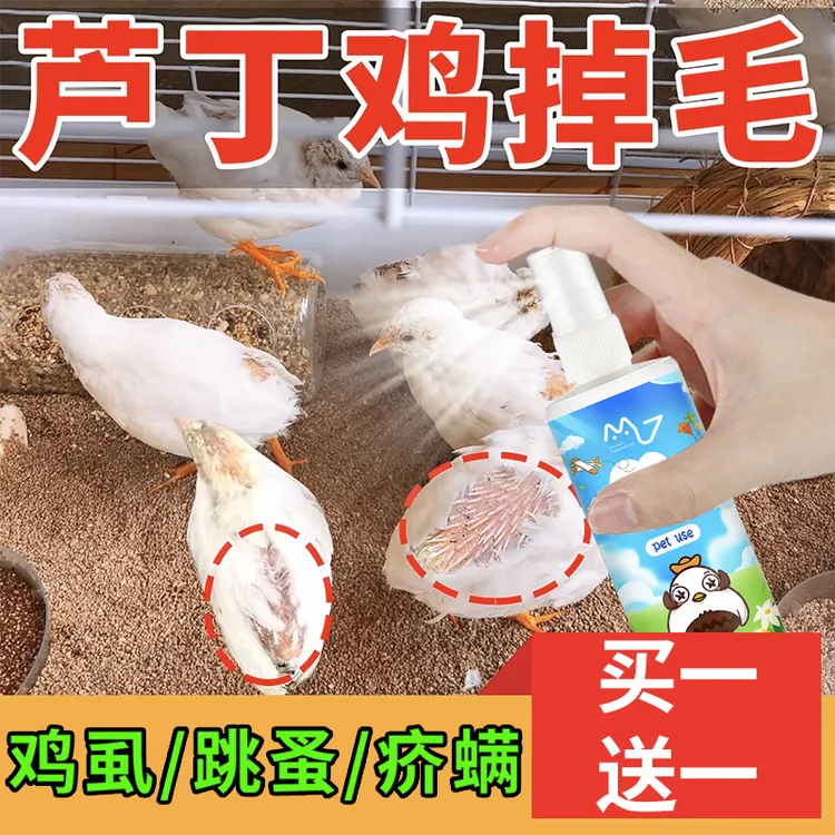 芦丁鸡秃背掉毛啄羽防秃背羽虱螨虫寄生虫特效鸟体外驱防虫喷雾