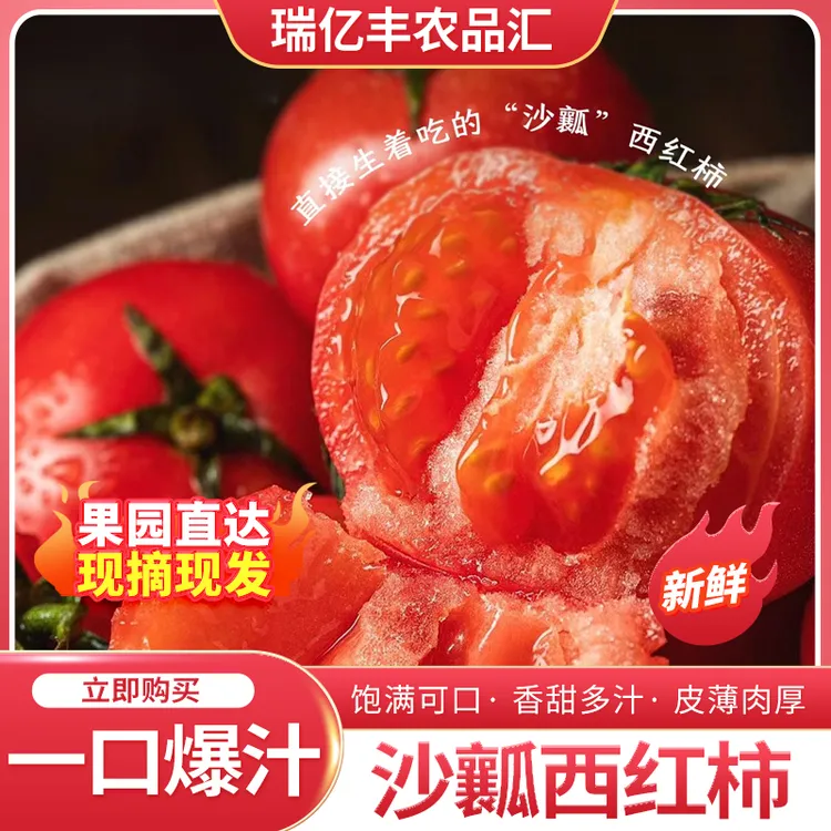 【内蒙古好物】）沙瓤西红柿甜糯软沙皮薄多汁新鲜现摘产地直发