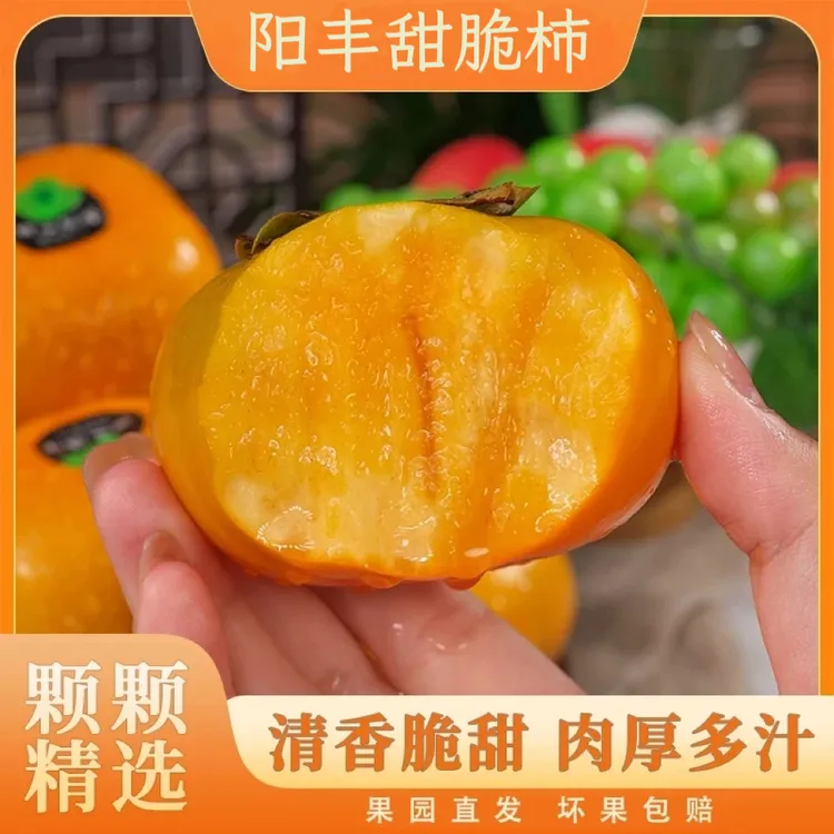阳丰甜脆柿巧克力脆柿新鲜水果脆皮柿子冰糖心当季水果