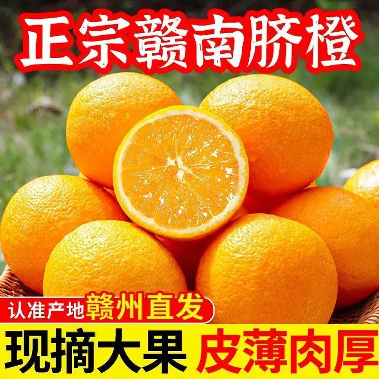 正宗赣南脐橙带枝叶产地现摘直发新鲜皮薄肉厚汁水足应季甜橙子