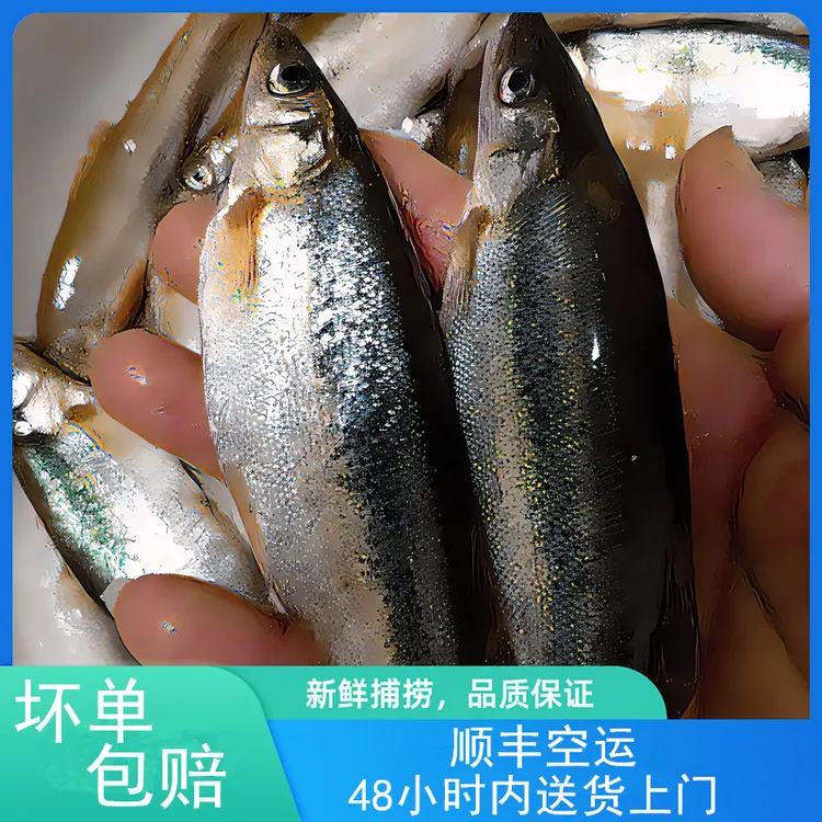 【冰鲜发货】东北柳根淡水鱼冷水柳根鱼鲜活鱼顺丰空运