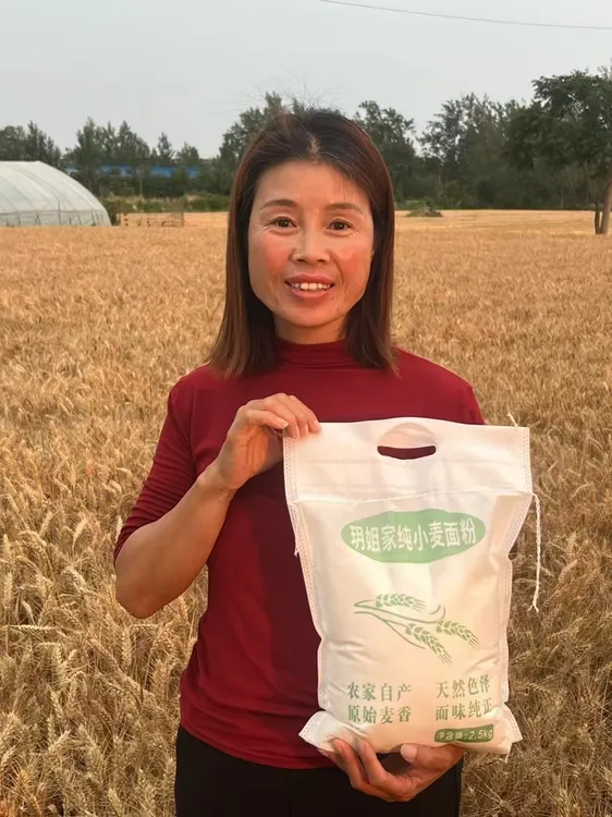 玥姐家小麦面粉蒸馒头包包子包饺子擀面条麦香味浓不添加不提取卖