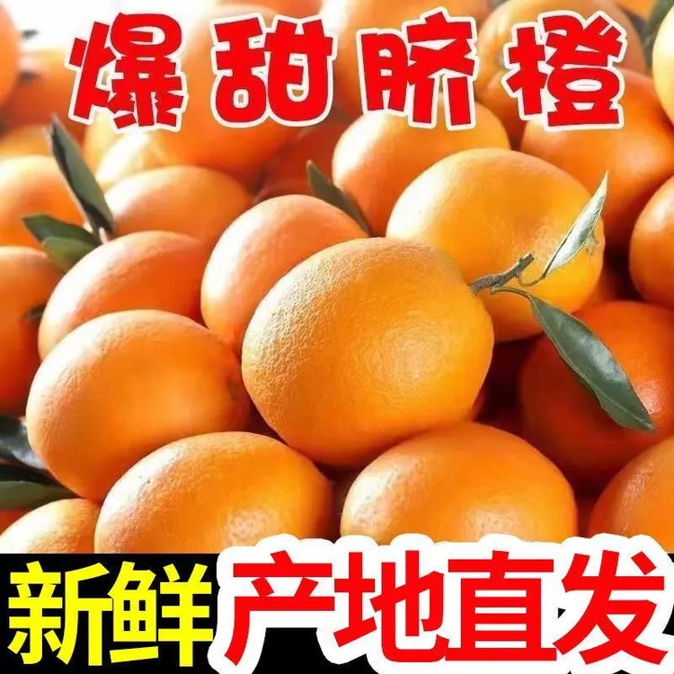 【现摘现发】正宗纽荷尔脐橙橙子新鲜产地直发多汁橙子