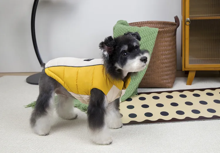 金冠宝贝宠物服装时尚配色马甲秋冬新款蓄热石墨烯狗两脚衣雪纳瑞