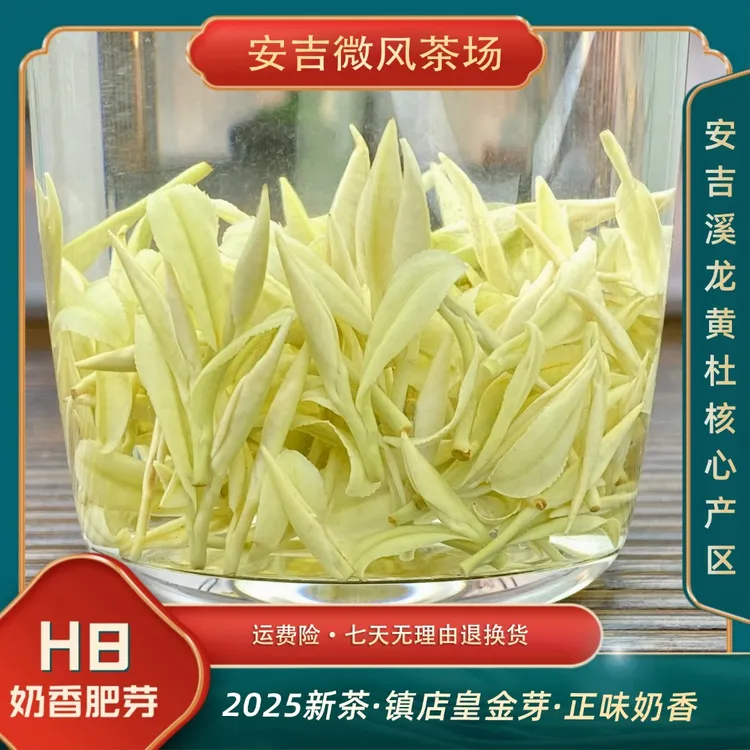 【奶香肥芽H8】2025年头采 安吉原产地 熊猫奶香黄金芽 明前茶 