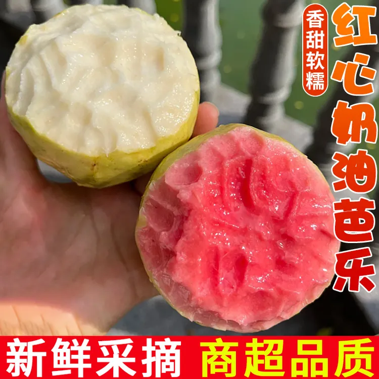正宗广西软心奶油白心芭乐当季新鲜水果红心番石榴树上熟配酸梅粉