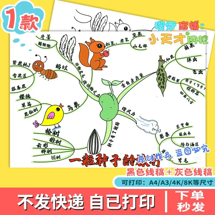 一粒种子的旅行思维导图小学生阅读手抄报好书推荐电子版f654