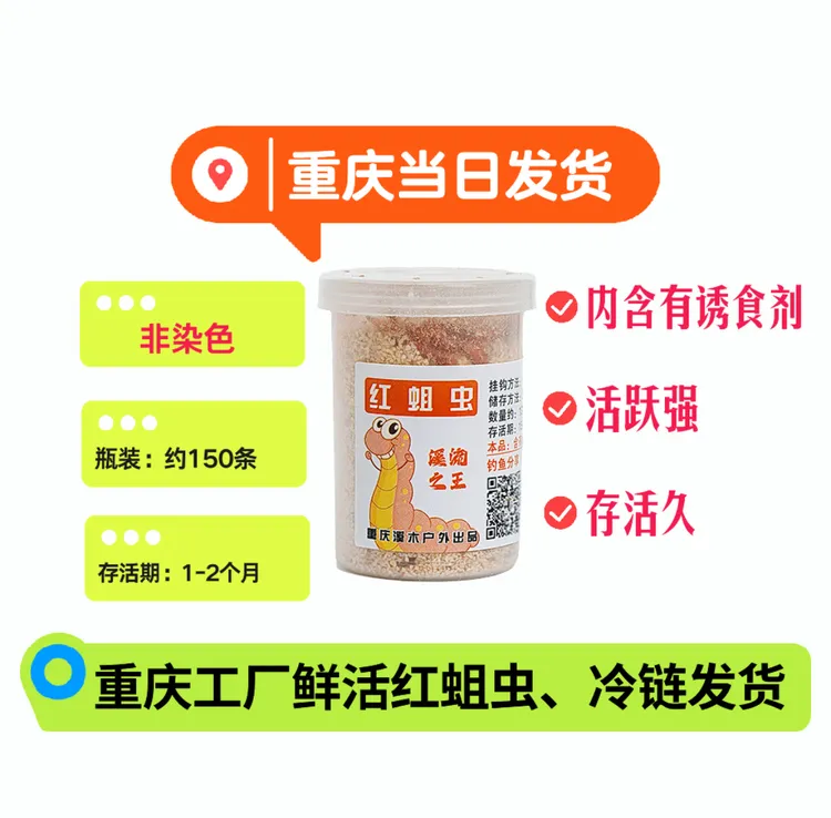 重庆红蛆虫源头厂家鲜活红蛆虫溪流野钓石斑马口溪哥重唇赤尾活饵