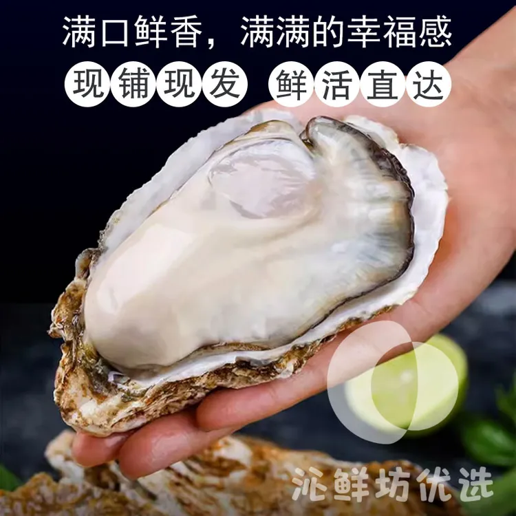 乳山生蚝（买五斤送五斤）