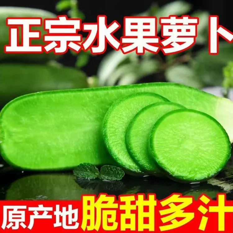 超值5斤正宗水果萝卜脆甜多汁新鲜现拔微辣爽口产地直发生吃凉拌