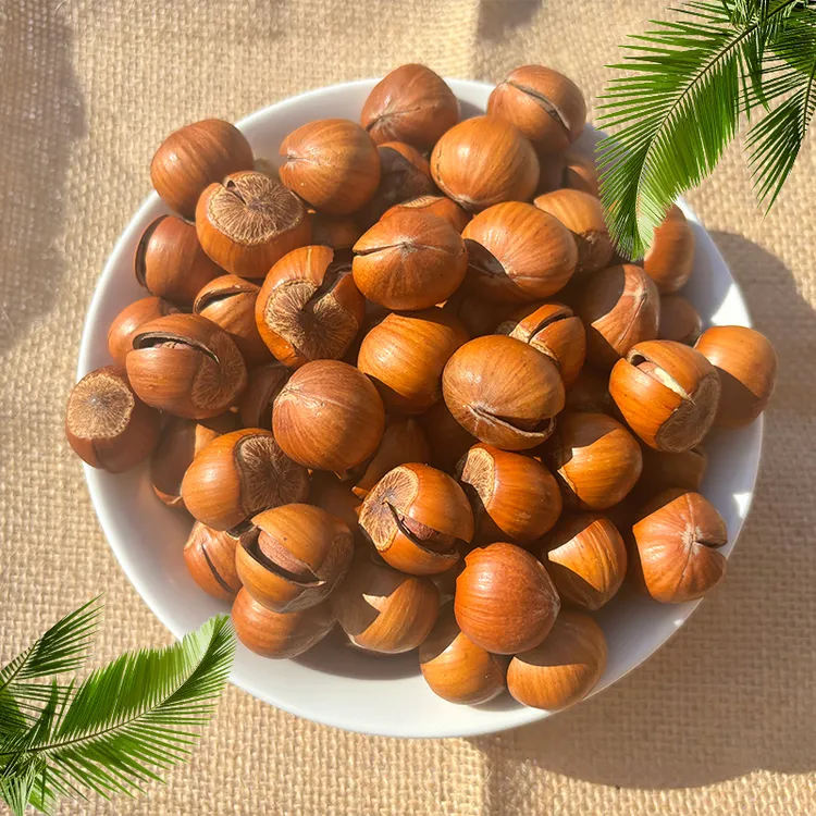 新货纸皮大榛子开口大榛子东北特产零食坚果2000g