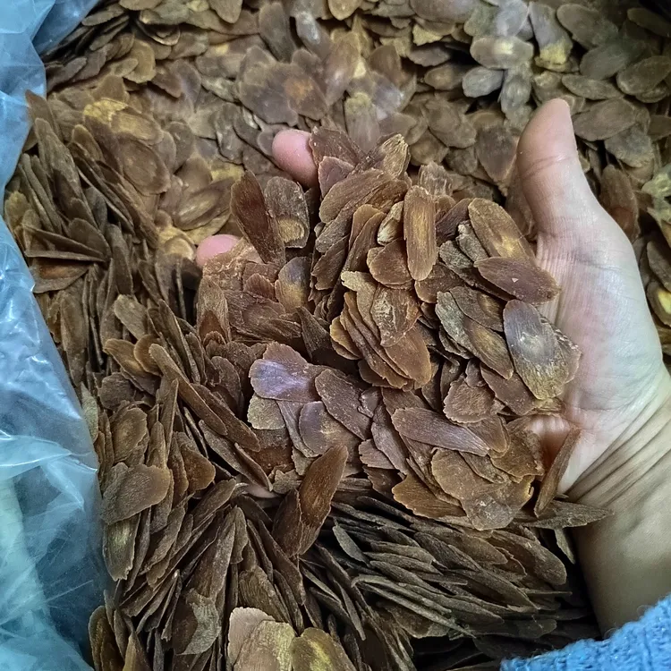 2025新货《主播推荐》1.6新品高丽红参，滋补佳品，泡水，炖鸡煲汤