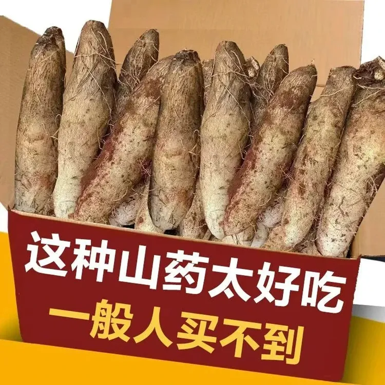【云南特产】灵芝山药新鲜粉糯非铁棍秤砣淮山小白嘴蔬菜9/5/3/1斤