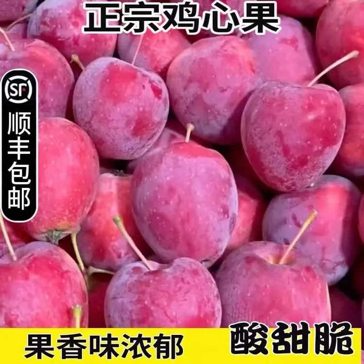 【蹄哥专属】延边鸡心果新鲜水果当季水果现摘现发大果5斤装顺丰包邮