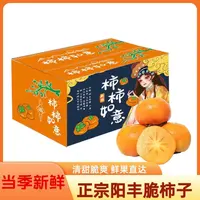 巧克力脆柿阳丰甜柿新鲜水果大柿子脆柿子冰糖心脆柿新鲜整箱包邮
