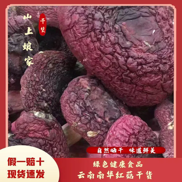 云南菌菇菌乡正宗红菇新鲜干货月子菇高山红煲汤炖汤营养菇香浓郁