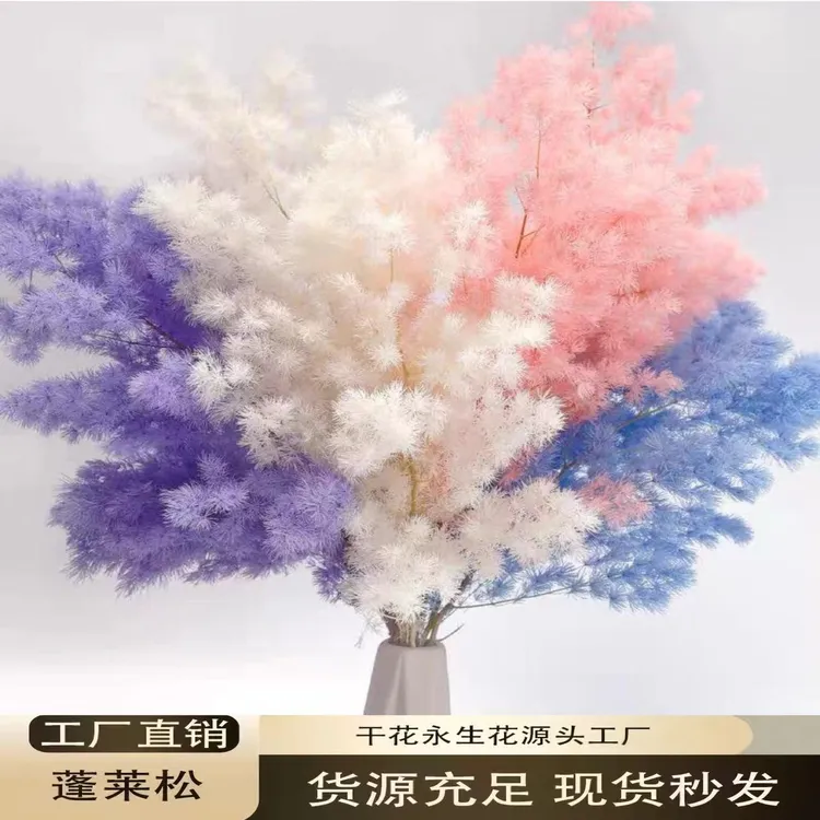 工厂直销永生蓬莱松（不掉针）花材装饰DIY花束
