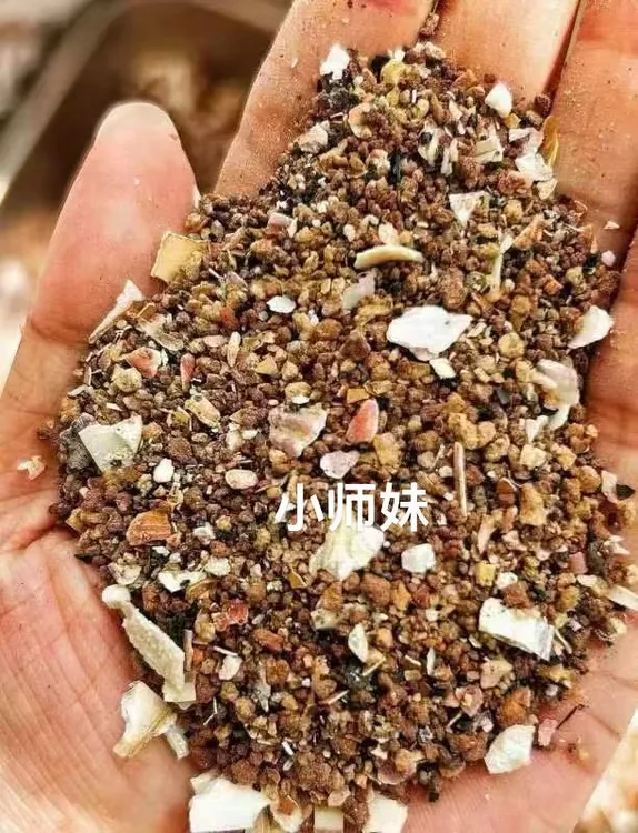 鹦鹉保健砂补充钙补充盐助消化助磨喙补充体内矿物质等2瓶起发