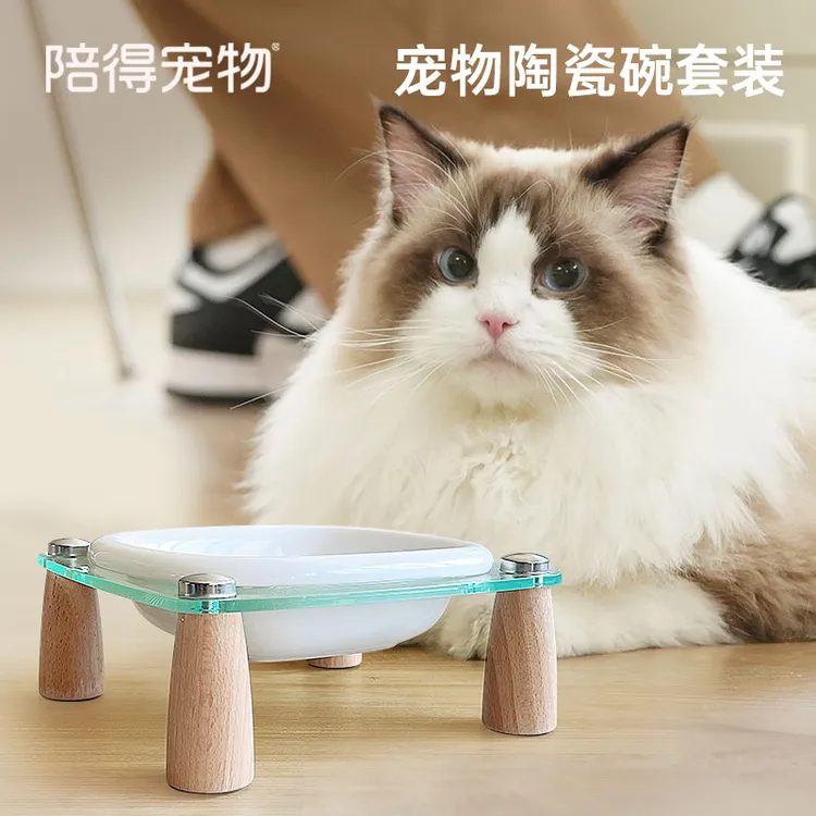 PcEaTt/陪得宠物小方桌宠物碗狗抗菌防打翻宠物必备物品猫碗狗碗