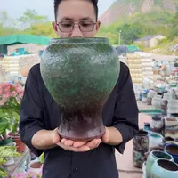 紫砂花盆口16高27（美人鱼牛油果一个