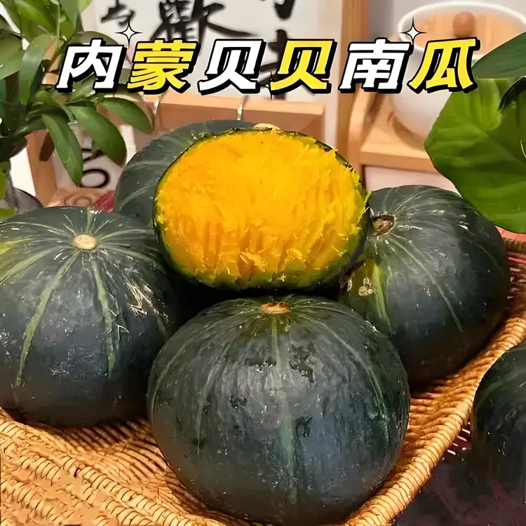 【不糯包赔】正宗贝贝南瓜粉糯香甜板栗味 宝宝辅食粗粮小南瓜4.5斤