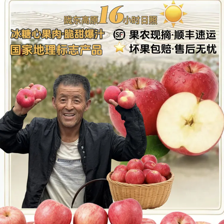 李小军家红富士/净重9斤左右/果园现摘/顺丰速运