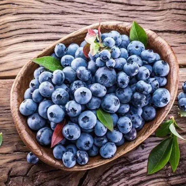【顺丰包邮】蓝莓新鲜国产大蓝莓山东孕妇宝宝辅食蓝莓鲜果现摘