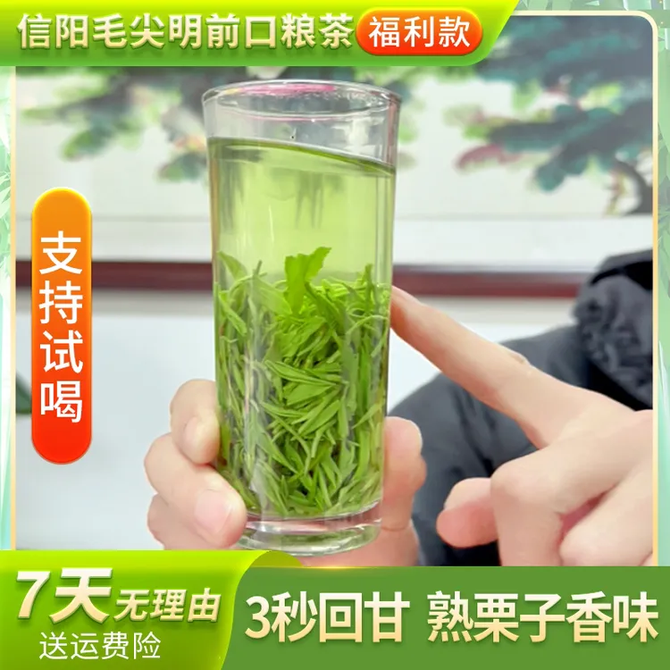 2025信阳毛尖绿茶口粮茶三秒回甘，鲜爽耐泡  中秋福利 中秋礼盒