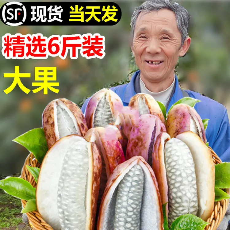 八月瓜新鲜水果八月炸5斤装当季现摘香瓜应季麻藤包甜瓜8牛卵坨