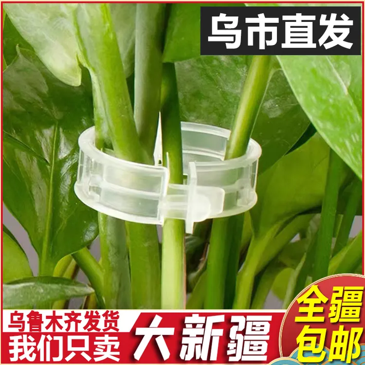 新疆直发植物固定夹卡扣爬藤固定器果树葡萄藤捆扎秧苗藤蔓夹果蔬