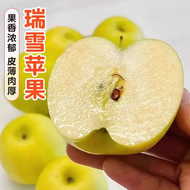 [瑞雪新品]陕西延安洛川瑞雪苹果产地直发味道香郁香甜可口鲜水果