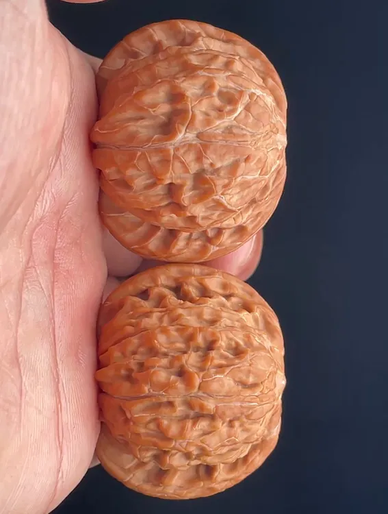 #正磨 #磨盘狮子头 尺寸42全品