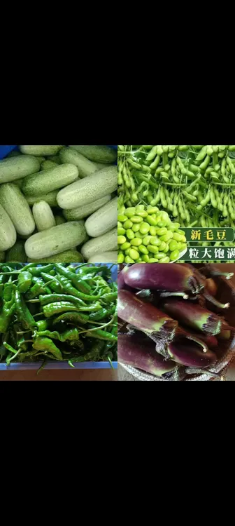 农家生态本地露天时蔬组合新鲜应季蔬菜现采现发