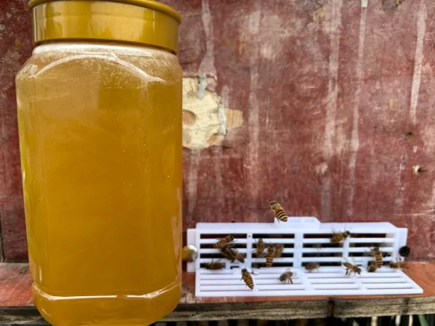 高山纯正百花土蜂蜜 原蜜无添加 自然成熟农家蜜（夏季新蜜）