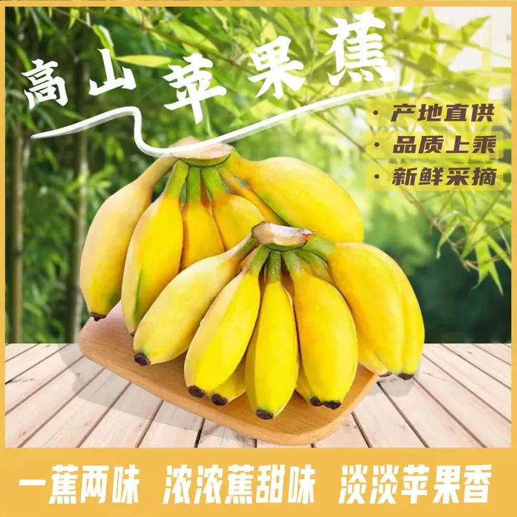 苹果蕉高山种植短胖一焦两味浓浓香蕉味淡淡苹果香新鲜现采现发