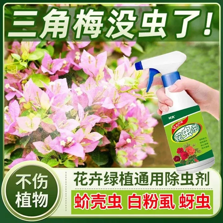 三角梅营养液绿植除白粉虱蚜虫蚧壳虫红蜘蛛花卉植物通用防虫肥料