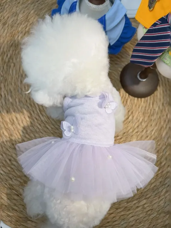 宠物手工定制猫咪狗狗夏天清爽透气紫色蝴蝶芭蕾风格公主连身纱裙