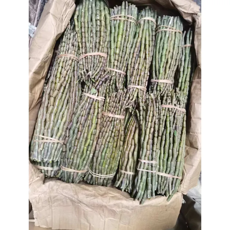 鲜石斛 干货农产品 