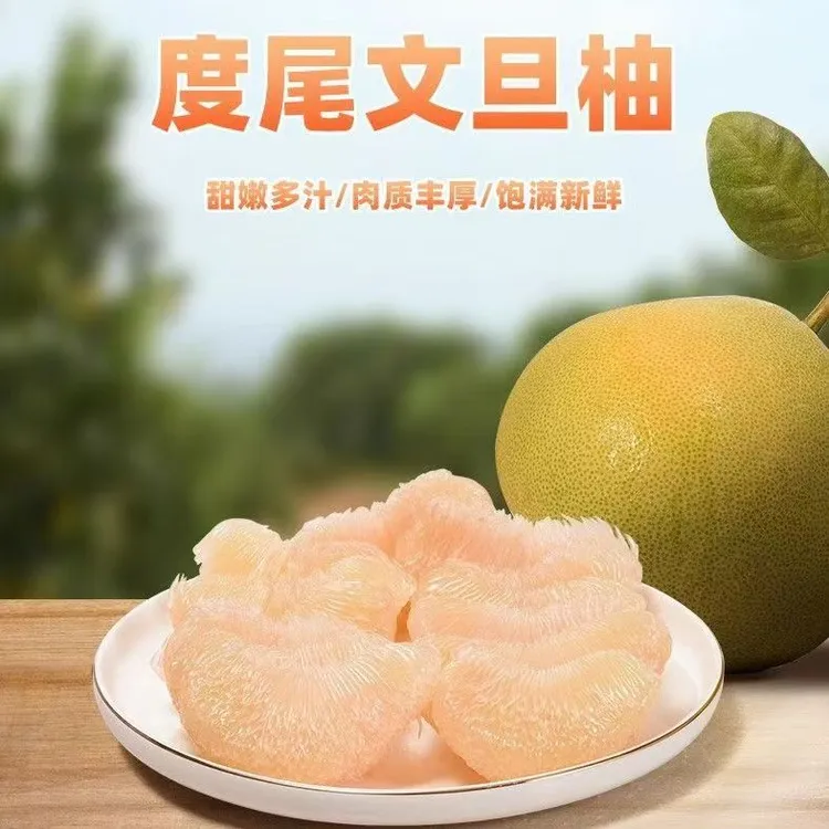 福建度尾文旦柚红心白心新鲜饱满多汁当季现摘新鲜水果