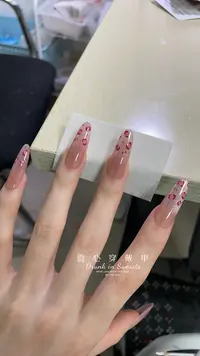 粉豹-壹心纯手工穿戴甲 美甲贴片可拆卸假指甲10片装