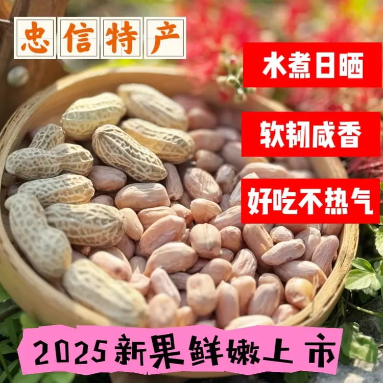 2025年新水煮咸干花生软糯鲜香去壳即食休闲小零食