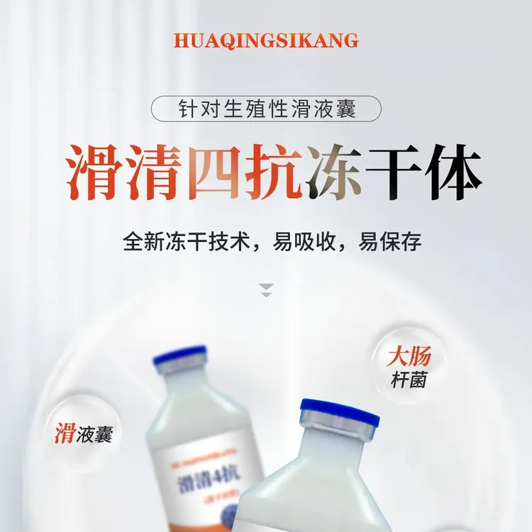 鸡生殖性滑液囊支原体防治一体冻干粉养鸡必备