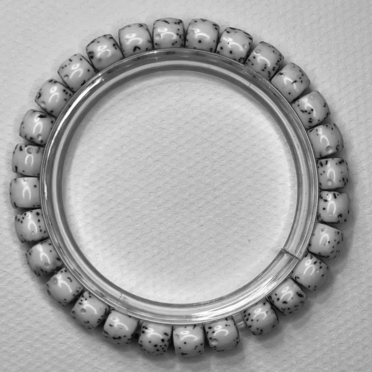 海南原生态大原白河豚 卡8单圈