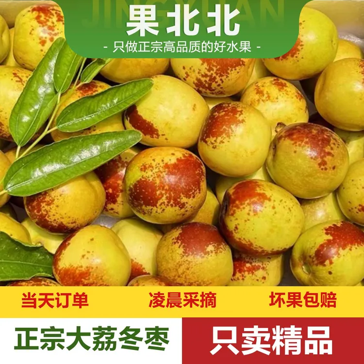 【酥脆香甜】正宗陕西大荔冰糖冬枣2-5斤装 自然成熟新鲜京东顺丰